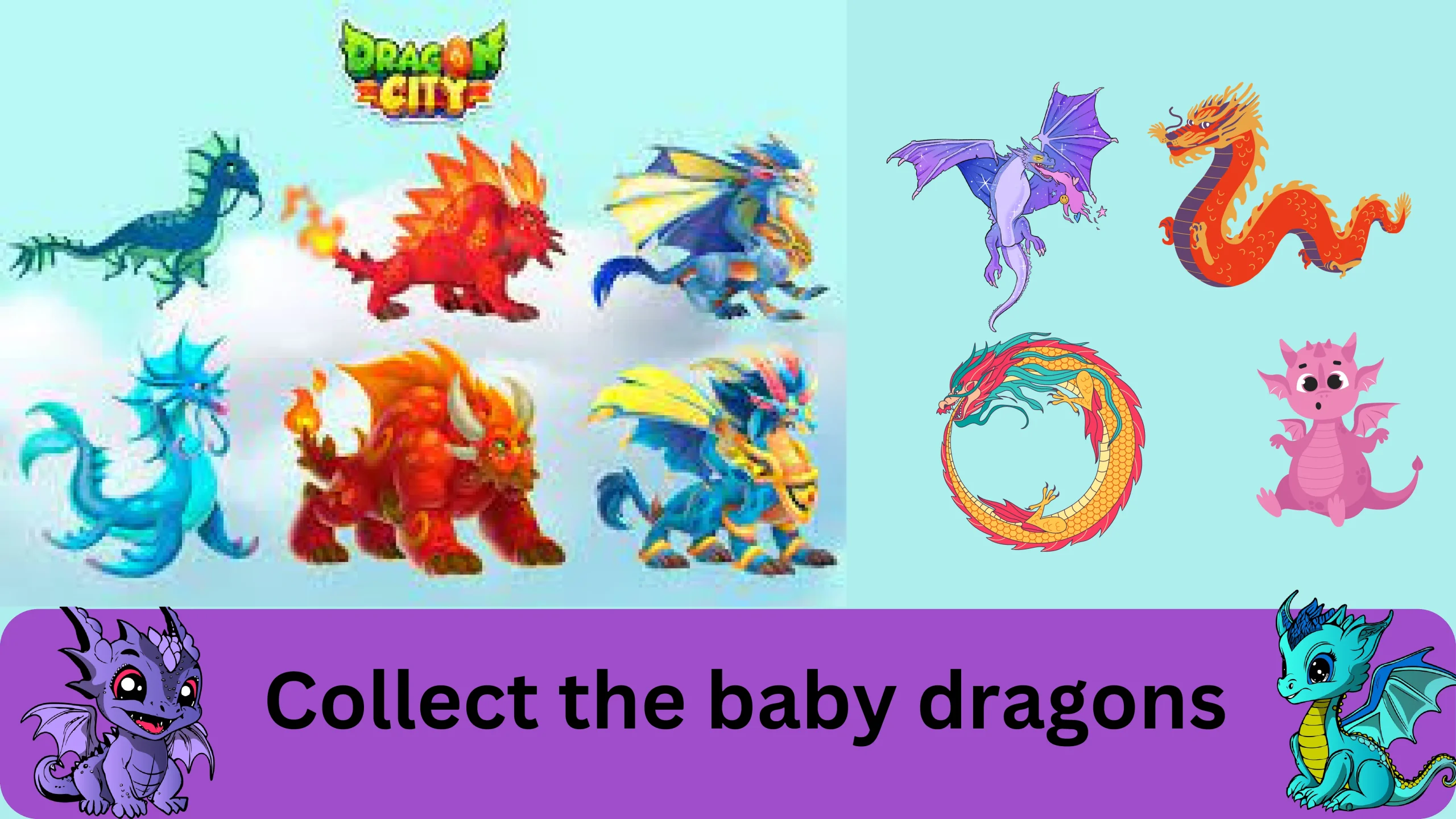 Collect dragons